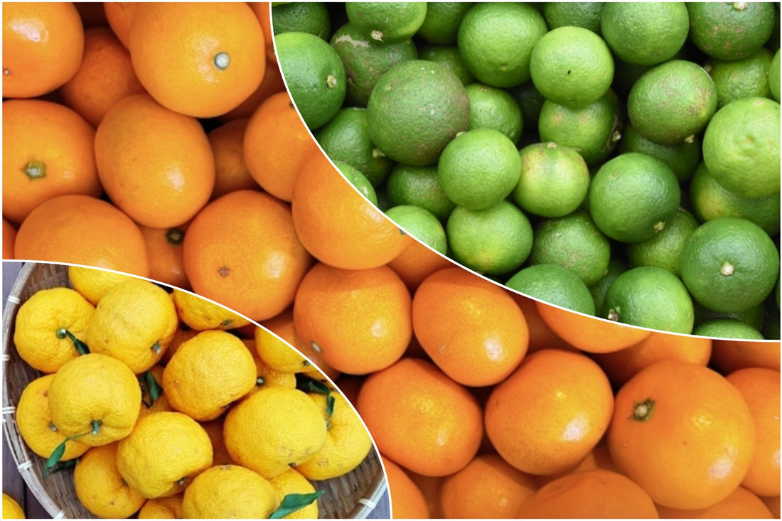 The Wonders of Citrus: 5 Varieties of Citruses Found in Japan