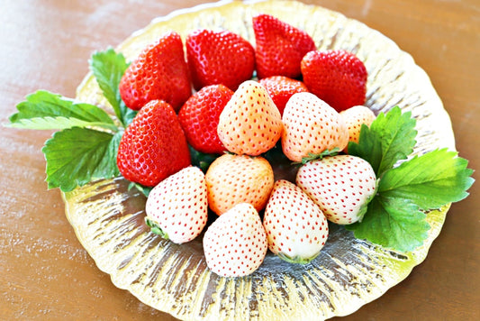 Happy Strawberry Day: 5 Must-Try Varieties of Strawberries in Japan